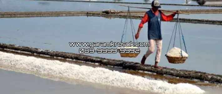 Supplier Garam Krosok Grade A untuk UMKM dan Industri